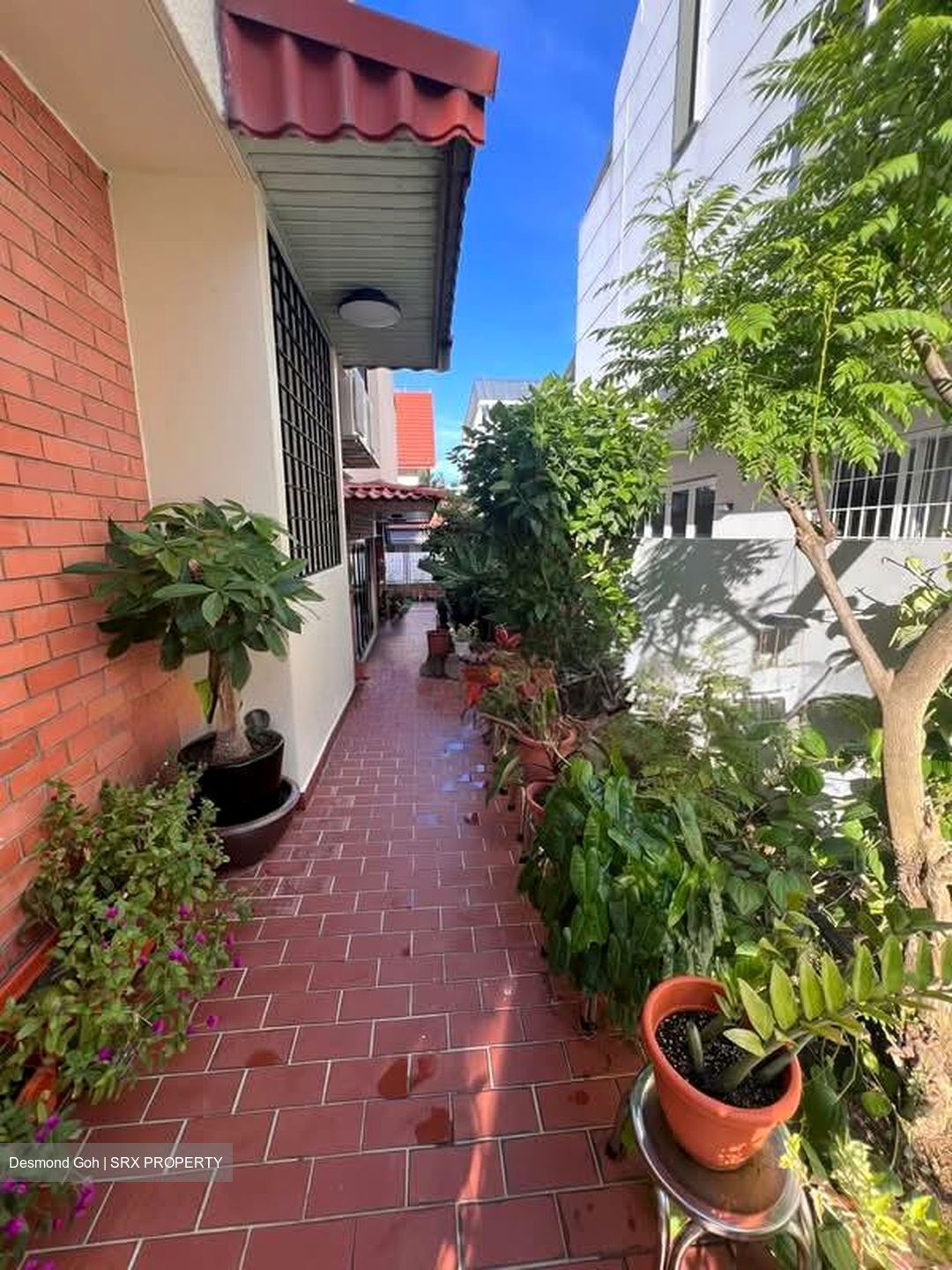 West Coast Gardens (D5), Terrace #549939771
